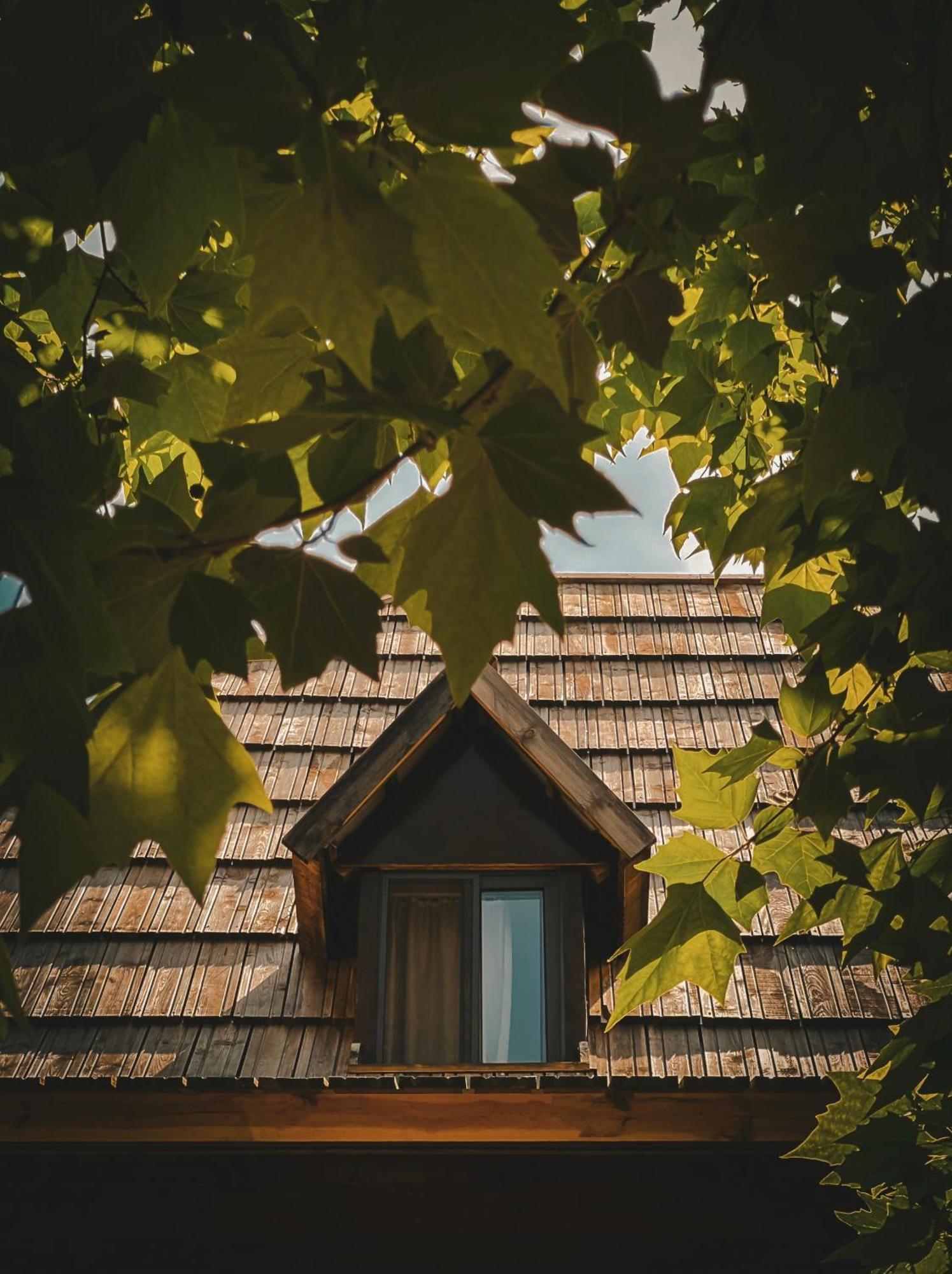 Guesthouse Pashko Theth Exterior foto